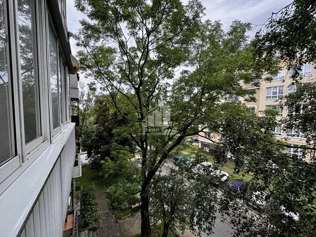 3-к кв. Калининградская область, Зеленоградск ул. Сибирякова, 10А ... - Фото 1