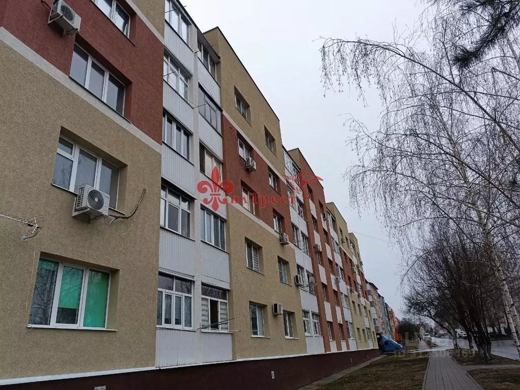 2-к кв. Белгородская область, Белгородский район, Разумное рп ул. 78-й ... - Фото 0