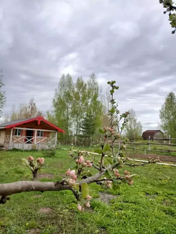 Дом в Новгородская область, Новгородский район, Бронницкое с/пос, д. ... - Фото 0