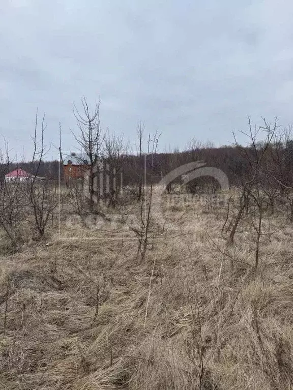 Участок в Воронежская область, с. Новая Усмань ул. Октябрьская (9.0 ... - Фото 1