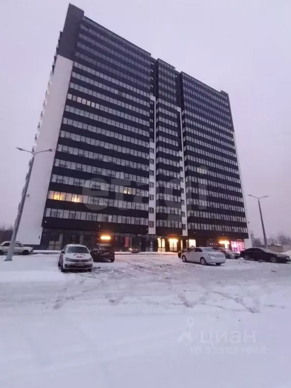 Студия Санкт-Петербург ул. Крыленко, 36к2 (26.0 м) - Фото 2