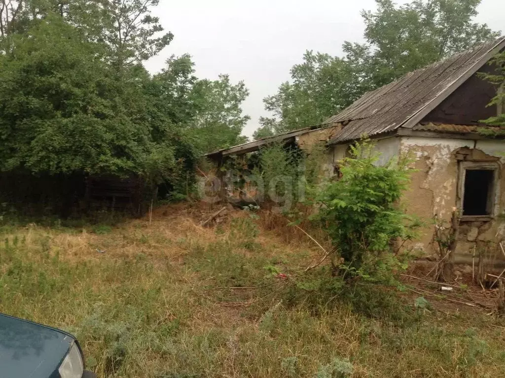 Участок в Ставропольский край, Грачевский муниципальный округ, с. ... - Фото 1