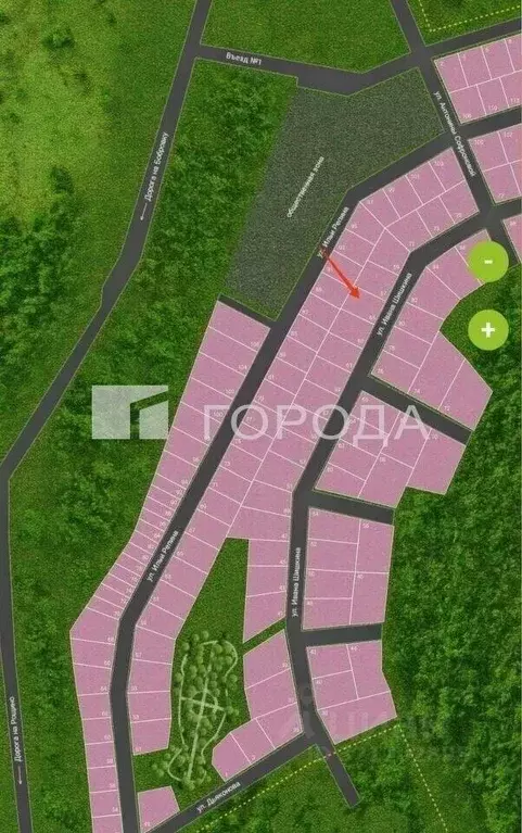 Участок в Алтайский край, Первомайский район, с. Фирсово ул. Ивана ... - Фото 1