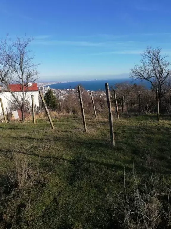 Участок в Крым, Феодосия Родник ТСН,  (8.5 сот.) - Фото 2