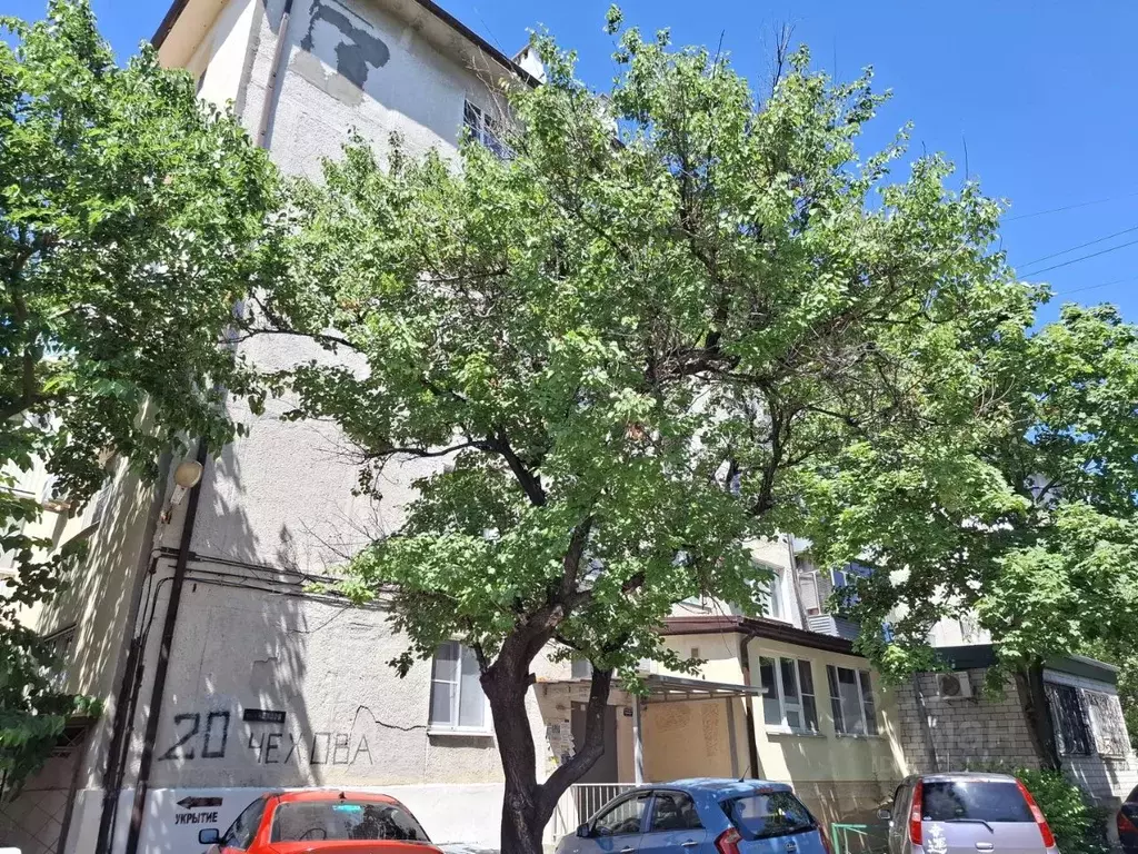 Комната Краснодарский край, Новороссийск ул. Чехова, 20 (15.0 м) - Фото 0