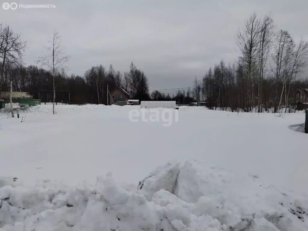 Участок в деревня Борисово, Рябиновая улица (9.6 м) - Фото 0