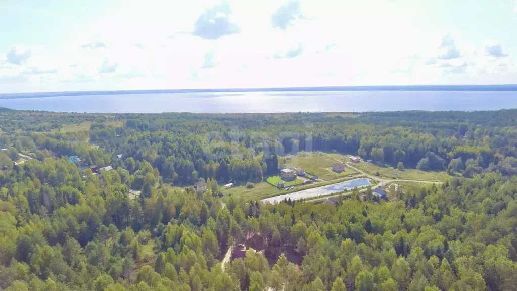 Участок в Ярославская область, Переславль-Залесский муниципальный ... - Фото 1