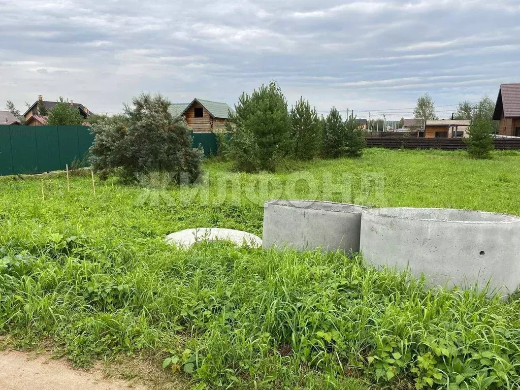 Участок в Новосибирская область, Новосибирский район, Кубовинский ... - Фото 1