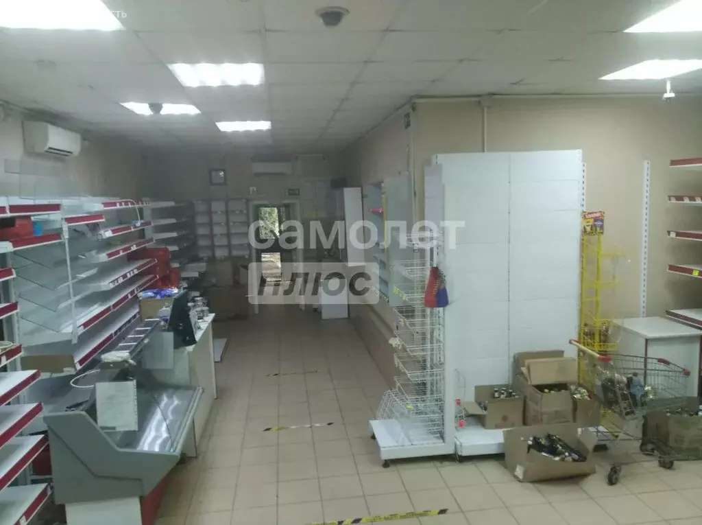 Торговая площадь (51.2 м) - Фото 2