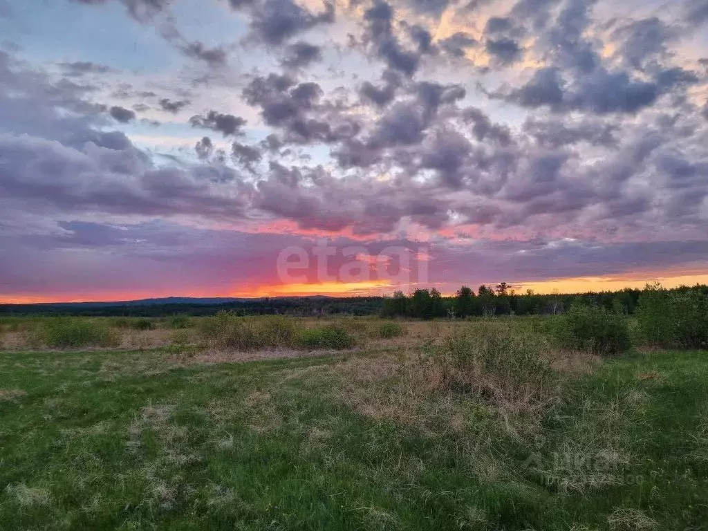 Участок в Забайкальский край, Дульдургинский район, с. Западный Узон  ... - Фото 1