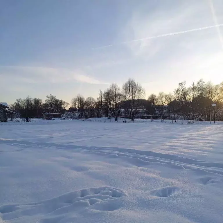 Участок в Московская область, Домодедово городской округ, д. ... - Фото 2