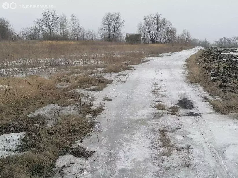 Участок в Алтайский район, село Макарьевка (13 м) - Фото 2