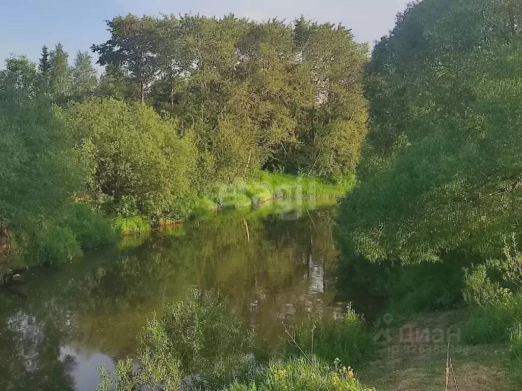 Участок в Ярославская область, Ярославский муниципальный округ, ... - Фото 2