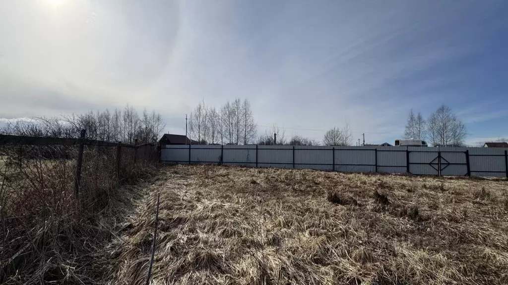 Участок в Ярославская область, Ярославский муниципальный округ, д. Бор ... - Фото 1