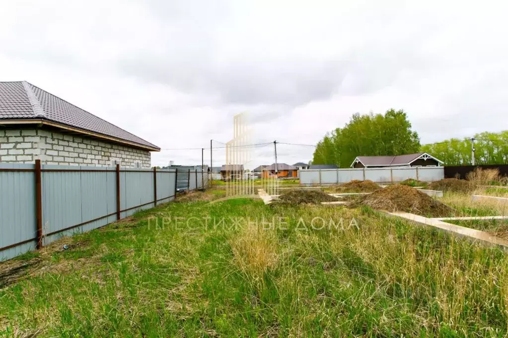 Участок в Новосибирская область, Новосибирский район, Сибирские ... - Фото 1