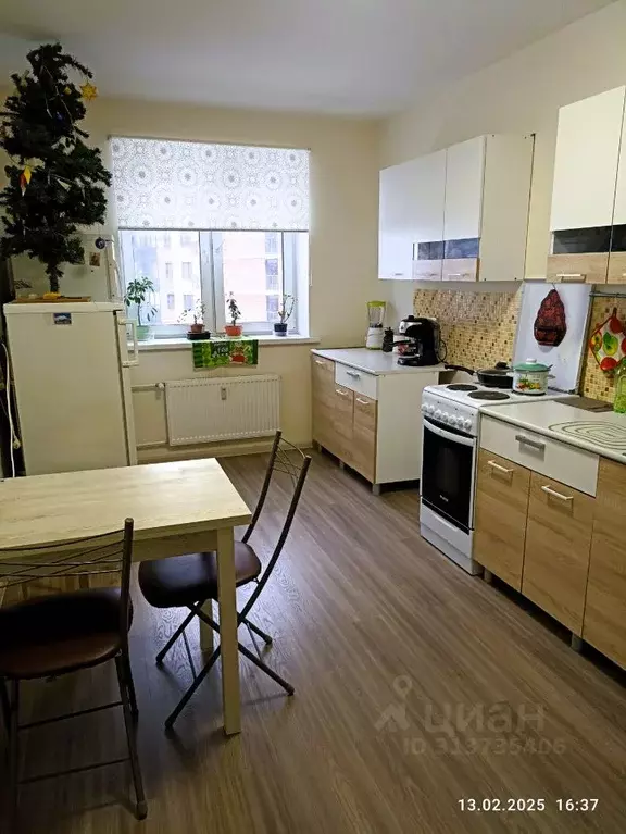 Комната Санкт-Петербург пос. Парголово, проезд Толубеевский, 38к1 ... - Фото 1