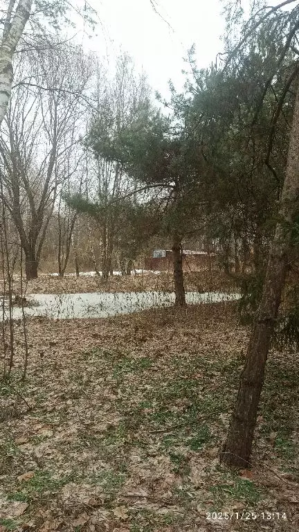 Продается участок в ДНТ Усадьба - Фото 1