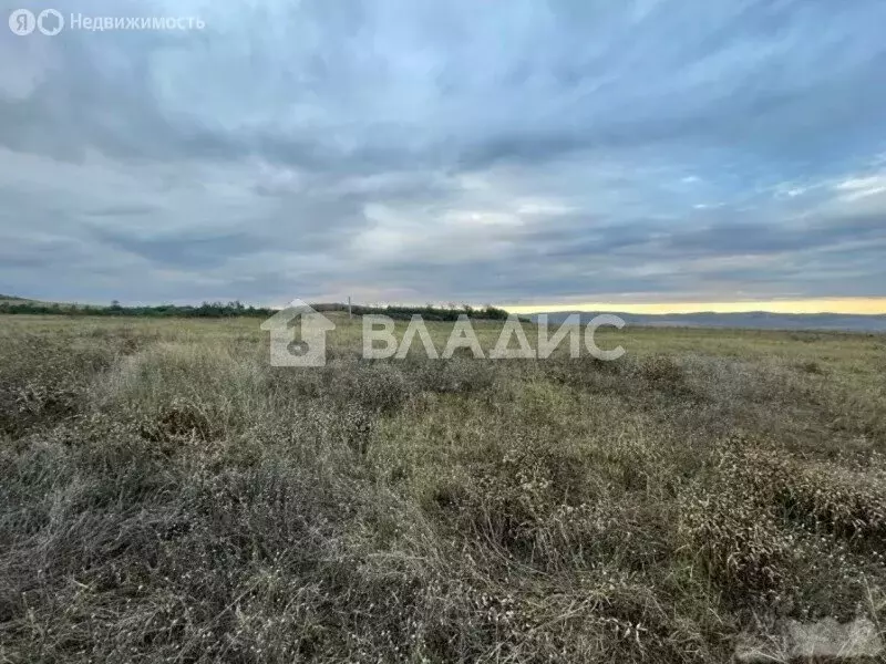Участок в Коломна, садовое товарищество Коммунальник-1, 82 (7.19 м) - Фото 1
