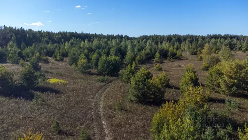 Участок в Татарстан, Лаишевский район, Песчано-Ковалинское с/пос  ... - Фото 2