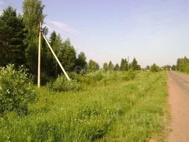 Участок в Ярославская область, Первомайский муниципальный округ, ... - Фото 2