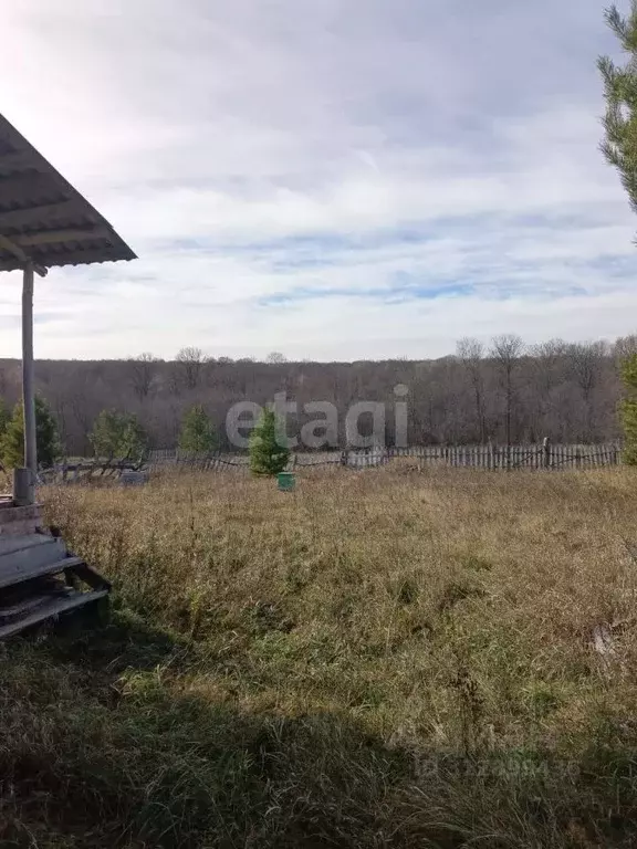 Участок в Башкортостан, Гафурийский район, Красноусольский сельсовет, ... - Фото 0