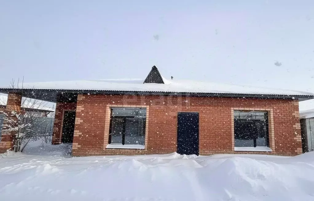 Дом в Амурская область, Благовещенский район, с. Чигири пер. ... - Фото 1