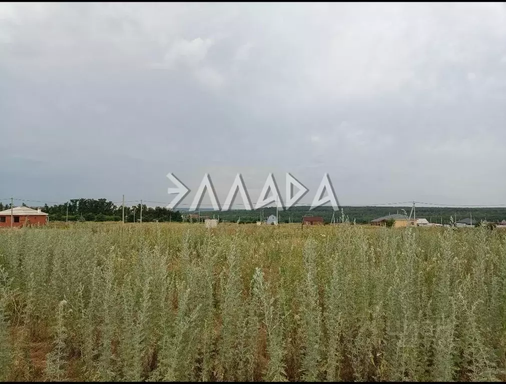 Участок в Ростовская область, Ростов-на-Дону Зодчий садоводческое ... - Фото 1