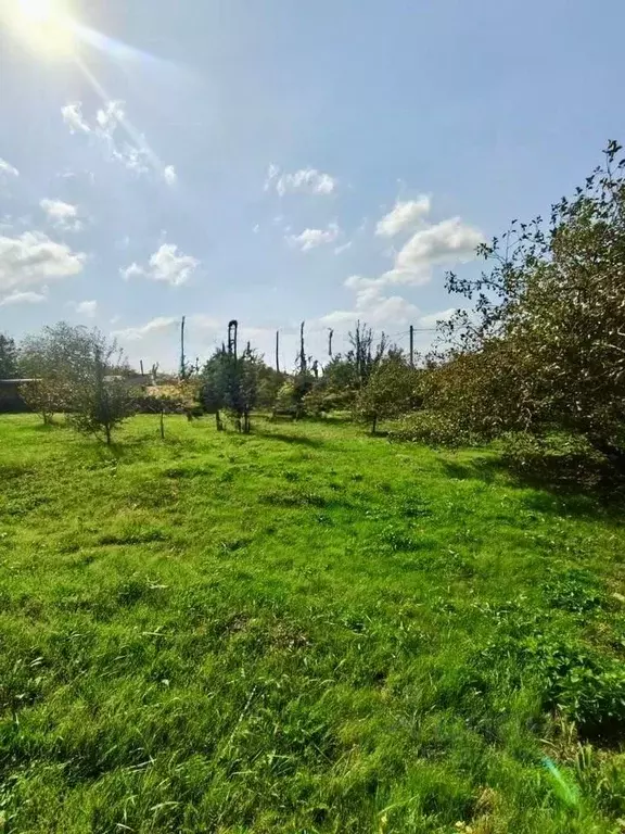 Участок в Краснодарский край, Анапа муниципальный округ, с. Юровка ул. ... - Фото 1