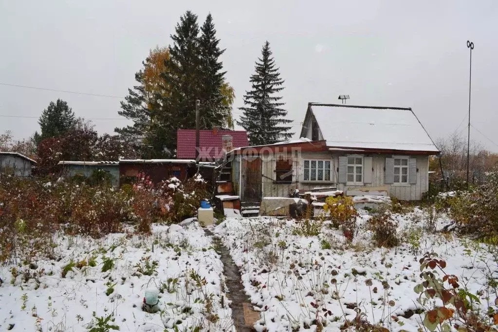 Дом в Новосибирская область, Новосибирск Швейник садовое товарищество, ... - Фото 1