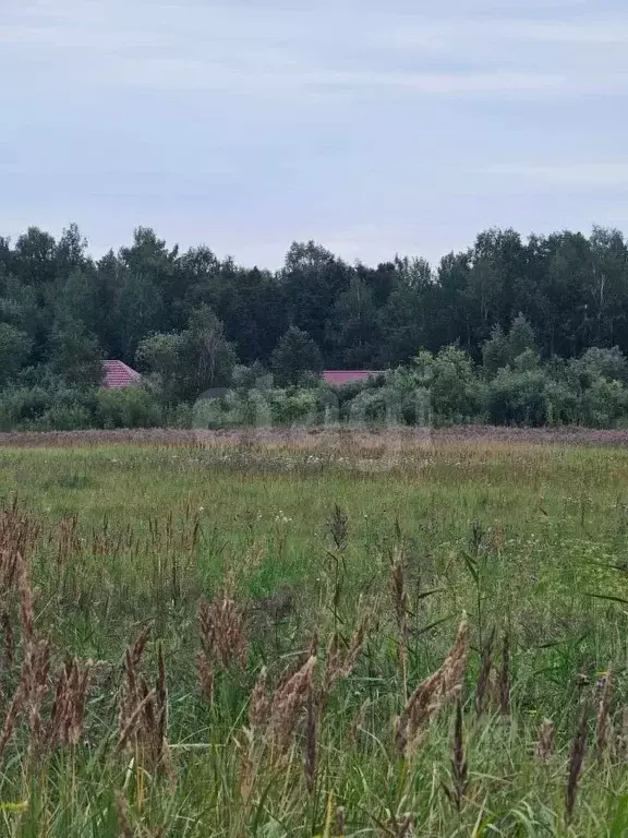 Участок в Тюменская область, Тюменский район, пос. Новотарманский  ... - Фото 0