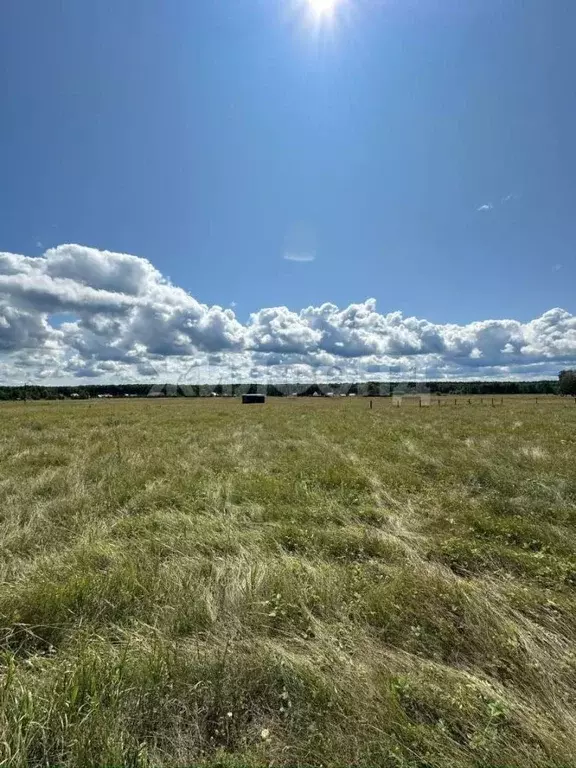 Участок в Новосибирская область, Ордынский район, д. Новый Шарап ... - Фото 0