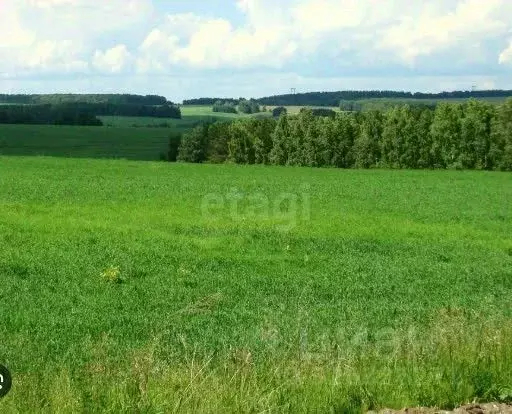 Участок в Ярославская область, Ярославский муниципальный округ, д. ... - Фото 1