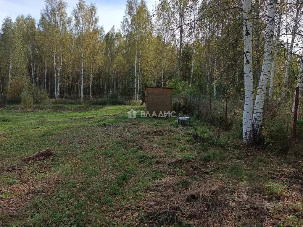 Участок в Владимирская область, Владимир Лунево мкр, ул. Луневская, 51 ... - Фото 2