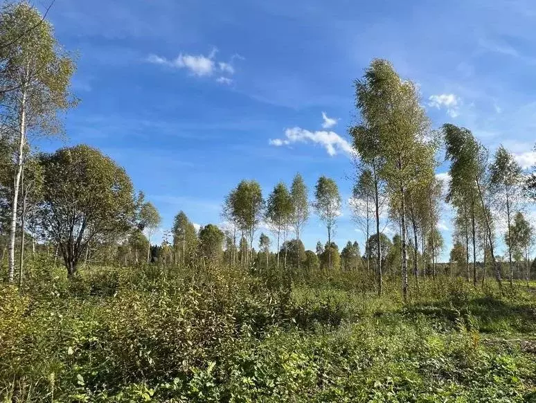 Участок в Московская область, Клин городской округ, Малахитовые дачи ... - Фото 0