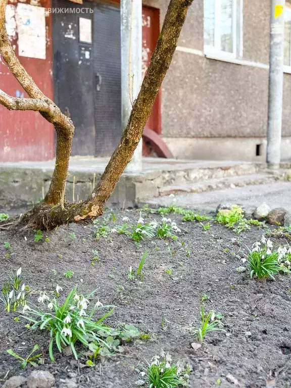 3-комнатная квартира: Псков, улица 23 Июля, 3 (59.2 м) - Фото 1