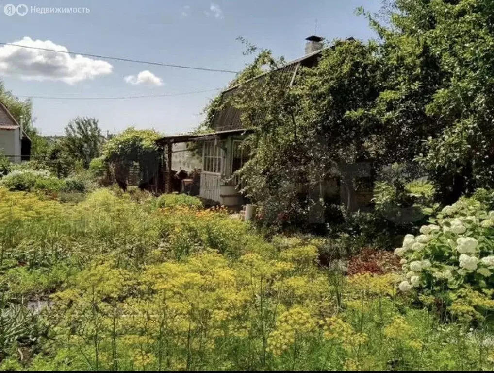 Дом в Калининград, СНТ Медик, 7-й проезд, 28 (20 м) - Фото 2