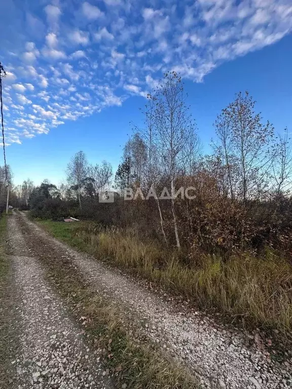 Участок в Нижегородская область, Богородский муниципальный округ, ... - Фото 1