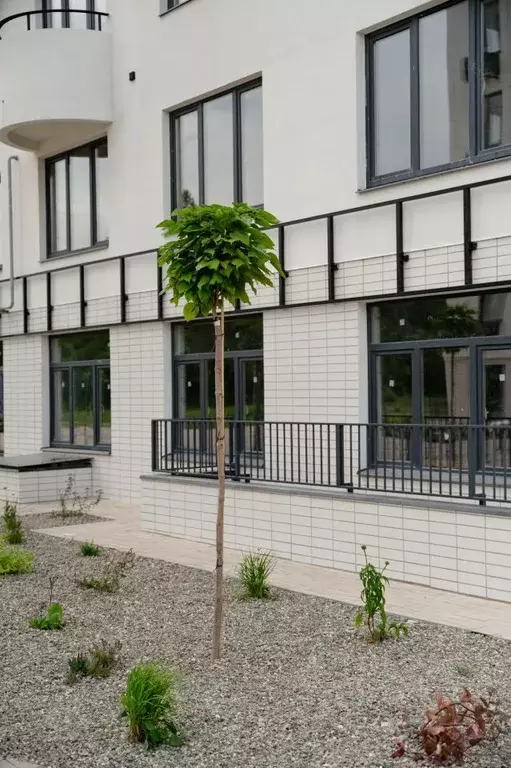 3-к кв. Липецкая область, Елец Радиотехническая ул., 11с1 (72.7 м) - Фото 1