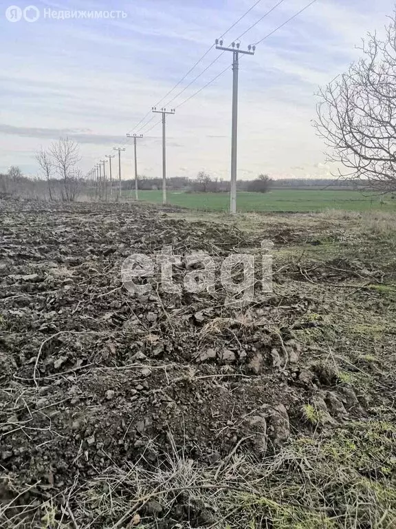 Участок в Темрюк, садово-огородное товарищество Северные Сады, ... - Фото 1