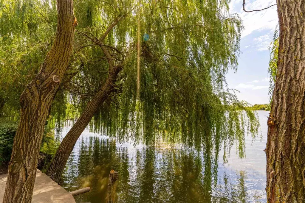 Комната Краснодарский край, Славянск-на-Кубани Пластуновская ул., 20 ... - Фото 1