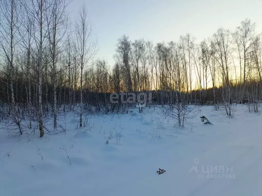 Участок в Челябинская область, Сосновский район, с. Кременкуль  (13.2 ... - Фото 0