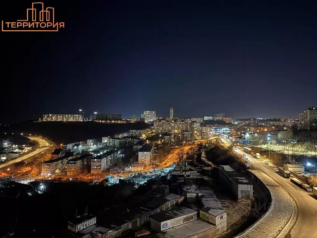 1-к кв. Приморский край, Владивосток ул. Добровольского, 9 (16.9 м) - Фото 1