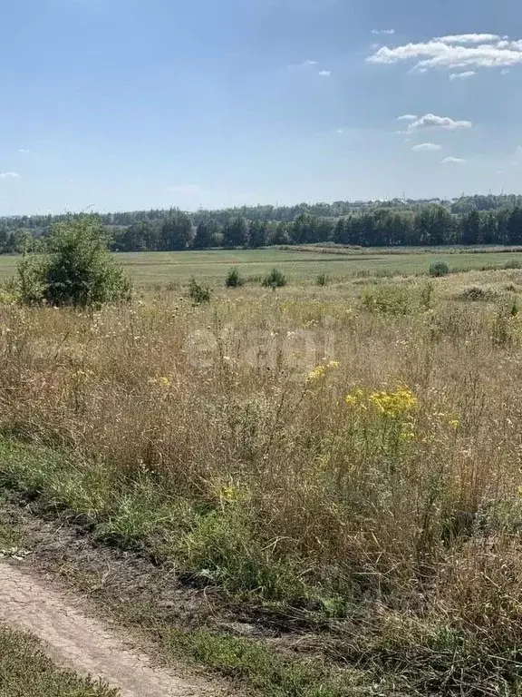 Участок в Белгородская область, Яковлевский городской округ, Красный ... - Фото 1