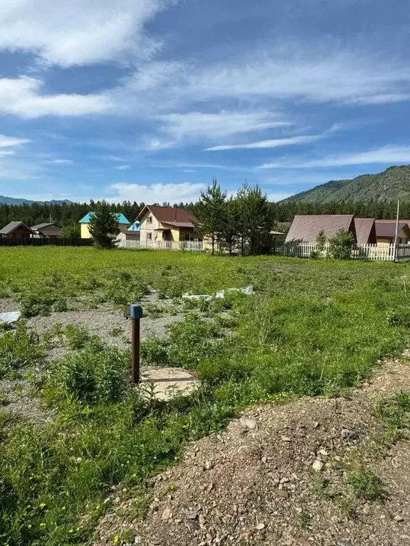 Участок в Алтай, Чемальский район, с. Чемал ул. Березовая, 19 (11.85 ... - Фото 2