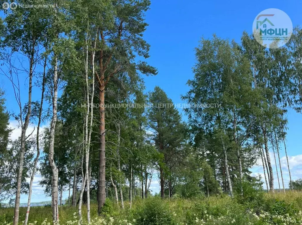 Участок в Шуйское сельское поселение, территория Жилой массив Ринда ... - Фото 1