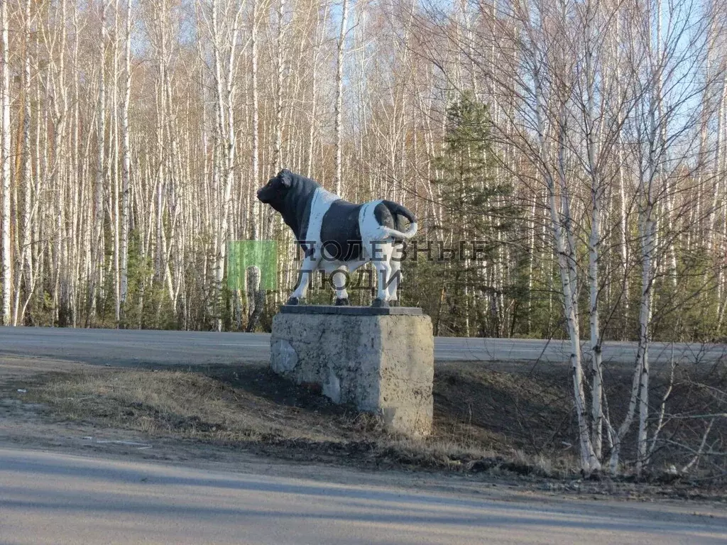 Участок в Курганская область, Курган Благодатное ТСН,  (11.9 сот.) - Фото 0