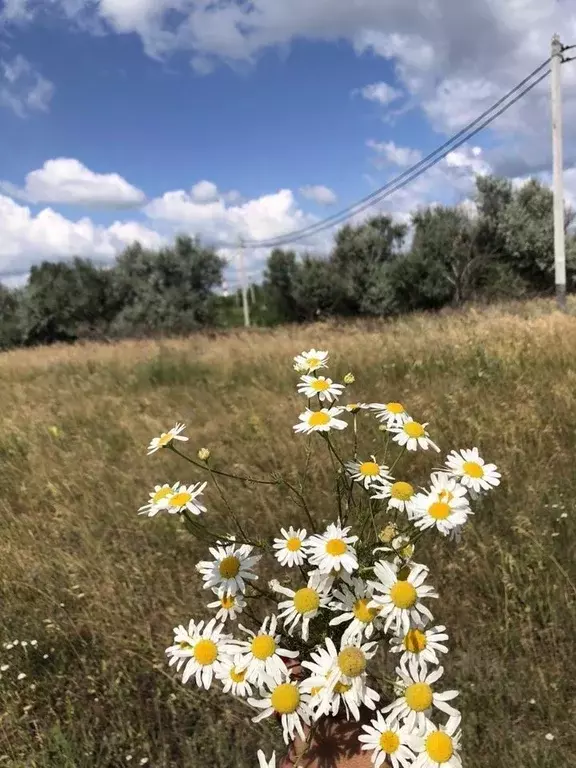 Участок в Самарская область, Волжский район, Верхняя Подстепновка ... - Фото 1