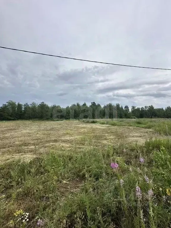 Участок в Тюменская область, Тюменский муниципальный округ, д. ... - Фото 1