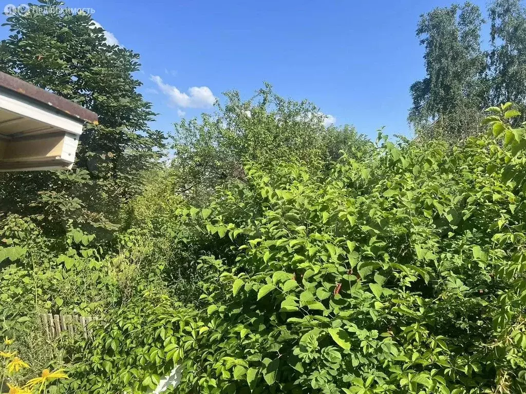 Участок в Виллозское городское поселение, садоводческое некоммерческое ... - Фото 1