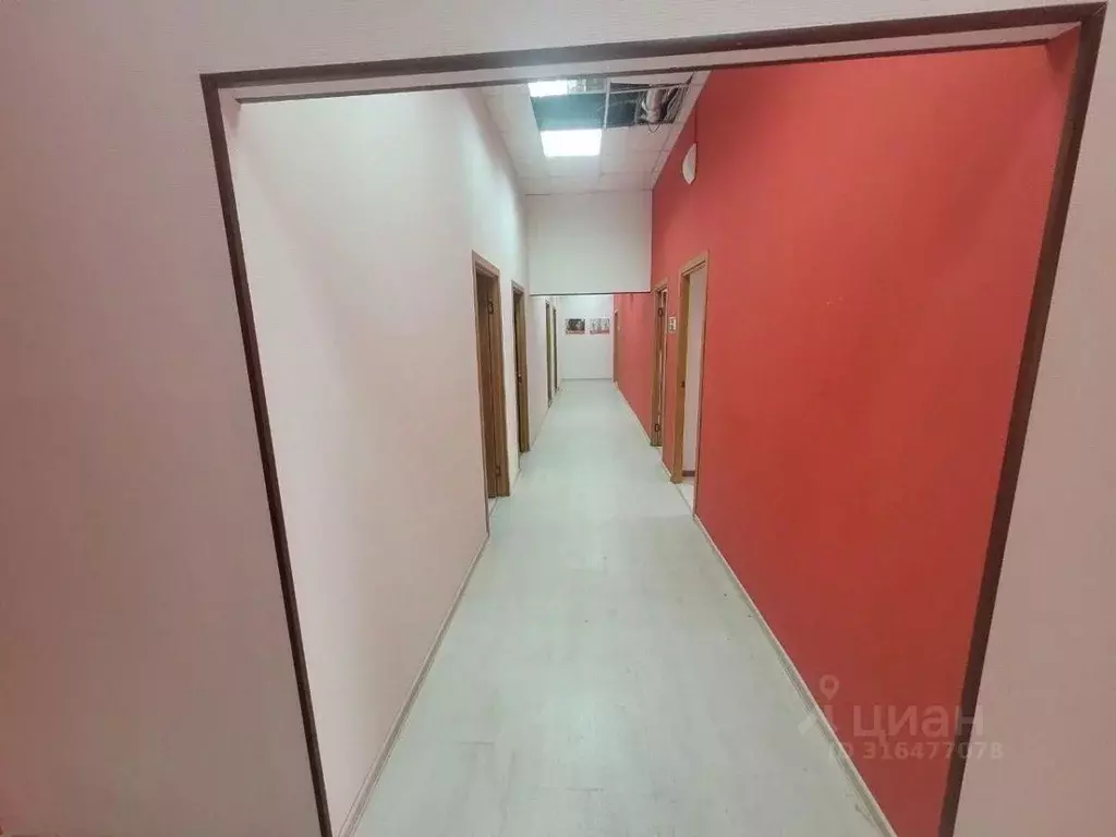 Помещение свободного назначения в Саратовская область, Саратов ул. ... - Фото 0